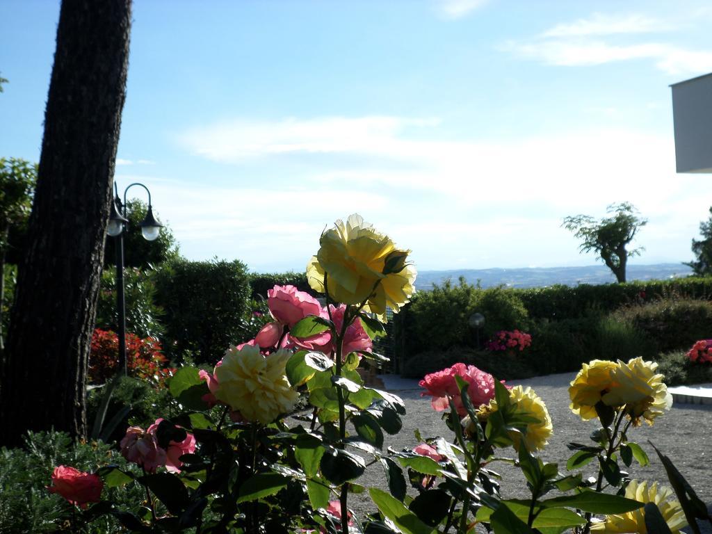 Bed And Breakfast " Il Tesoro Di Mario " ファルコナーラ・マリッティマ エクステリア 写真