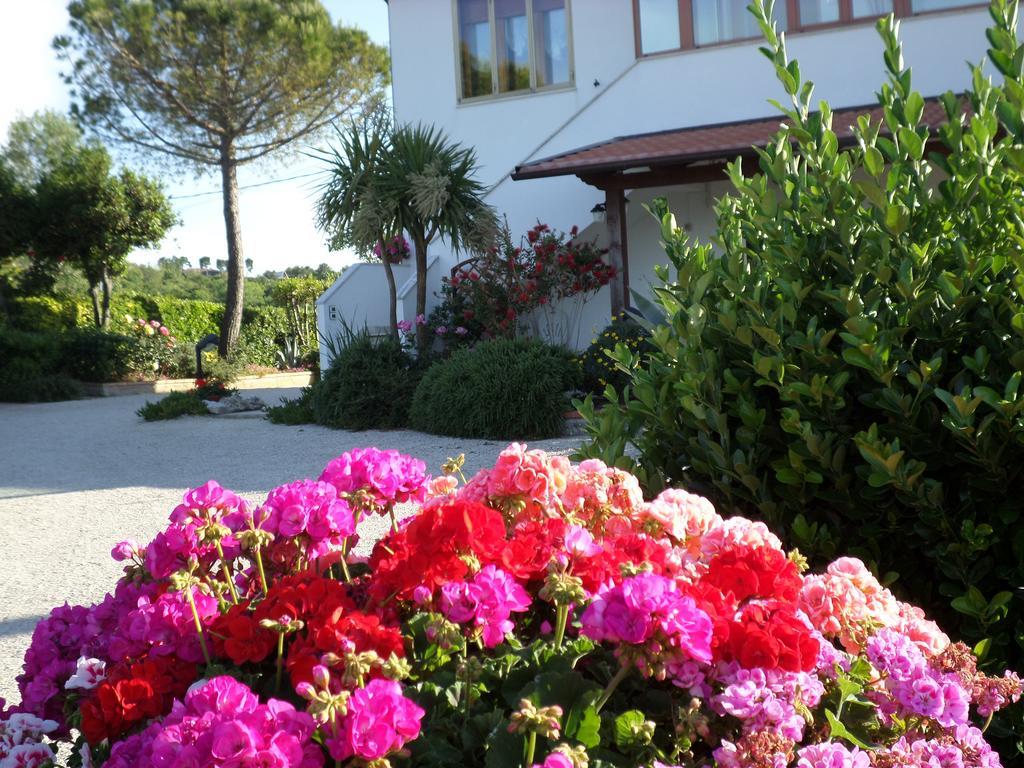 Bed And Breakfast " Il Tesoro Di Mario " ファルコナーラ・マリッティマ エクステリア 写真